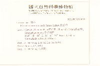 秋分草藏品圖，第2張