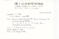 葶藶藏品圖，第2張