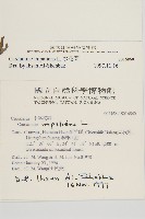 水花菜藏品圖，第2張