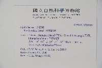 臺灣糊樗藏品圖，第2張