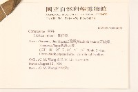 鵝仔草藏品圖，第2張