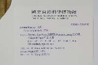 青葙藏品圖，第2張