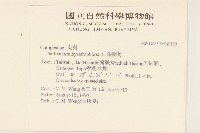 銀膠菊藏品圖，第2張