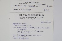 向天黃藏品圖，第2張