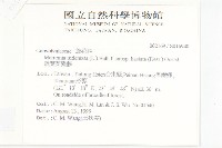 戟葉菜欒藤藏品圖，第2張