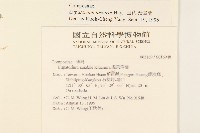 田代氏澤蘭藏品圖，第2張