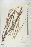 登錄號:S016970藏品圖，第1張