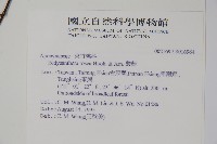 酸藤藏品圖，第2張