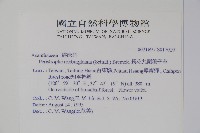 長花九頭獅子草、山藍藏品圖，第2張