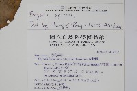 登錄號:S017012藏品圖，第2張