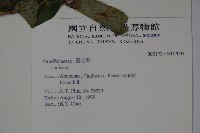 登錄號:S017031藏品圖，第2張