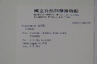 登錄號:S017032藏品圖，第2張