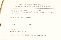 一枝黃花藏品圖，第2張