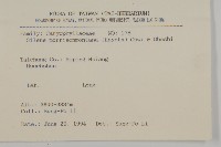 玉山蠅子草藏品圖，第2張