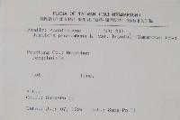 早田氏爵床藏品圖，第2張