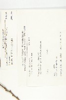 軟毛柿藏品圖，第2張