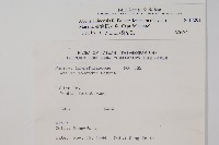 臺灣糯米條藏品圖，第2張