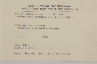 日本賽衛矛、日本假衛矛藏品圖，第2張