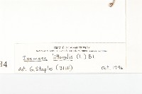 海牽牛藏品圖，第3張