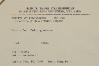 草珊瑚、紅果金粟蘭藏品圖，第2張