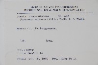 山桔梗藏品圖，第2張