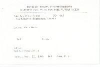 臺灣假山葵藏品圖，第2張