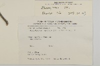 登錄號:S017262藏品圖，第2張