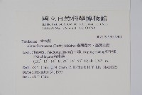 臺灣赤楊、臺灣榿木藏品圖，第2張