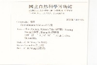 掃帚菊藏品圖，第2張