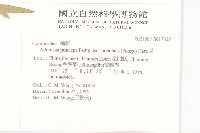 野艾蒿藏品圖，第2張