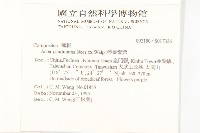 琴葉紫菀藏品圖，第2張