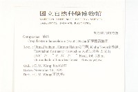 細葉假黃鵪菜藏品圖，第2張