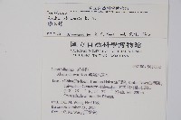 臺灣糯米條藏品圖，第2張