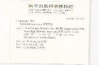 腺葉帚菊藏品圖，第2張