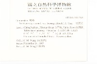 一枝黃花藏品圖，第2張