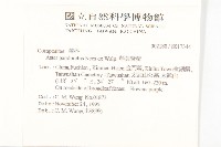 琴葉紫菀藏品圖，第2張