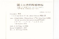 南國小薊藏品圖，第2張