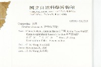 苦滇菜、苦菜藏品圖，第2張