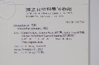 刺莧藏品圖，第2張