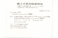 鼠麴舅藏品圖，第2張