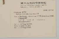 北仲, 刺裸實藏品圖，第2張