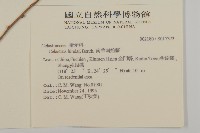 南華南蛇藤，青江藤藏品圖，第2張