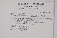 羊角扭藏品圖，第2張