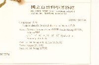 翼莖闊苞菊藏品圖，第2張