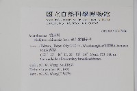 華九頭獅子草藏品圖，第2張