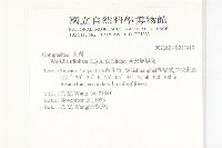 南美蟛蜞菊、三裂葉蟛蜞菊藏品圖，第2張