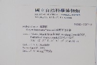 臺灣華他卡藤藏品圖，第2張