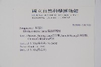 恆春厚殼樹藏品圖，第2張