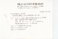 番仔藤藏品圖，第2張