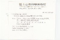 番仔藤藏品圖，第2張